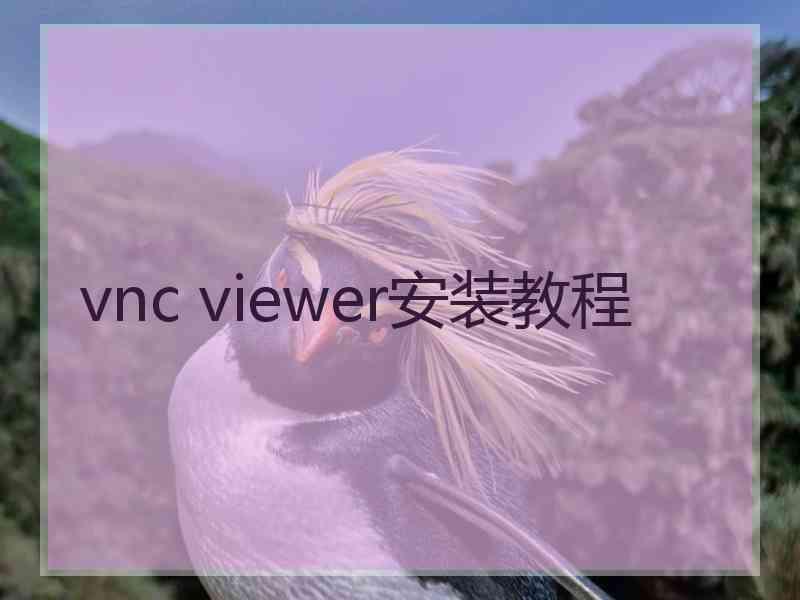 vnc viewer安装教程