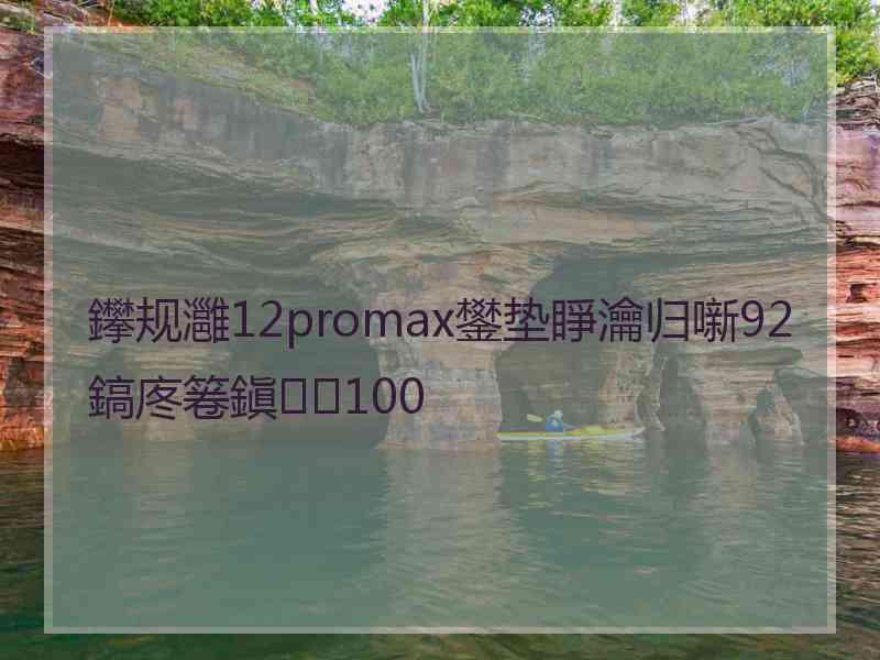 鑻规灉12promax鐢垫睜瀹归噺92鎬庝箞鎭㈠100