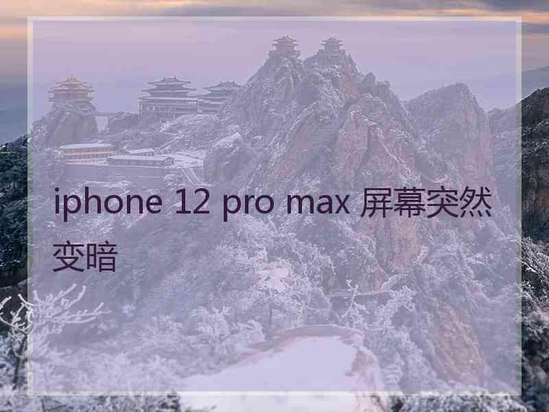 iphone 12 pro max 屏幕突然变暗