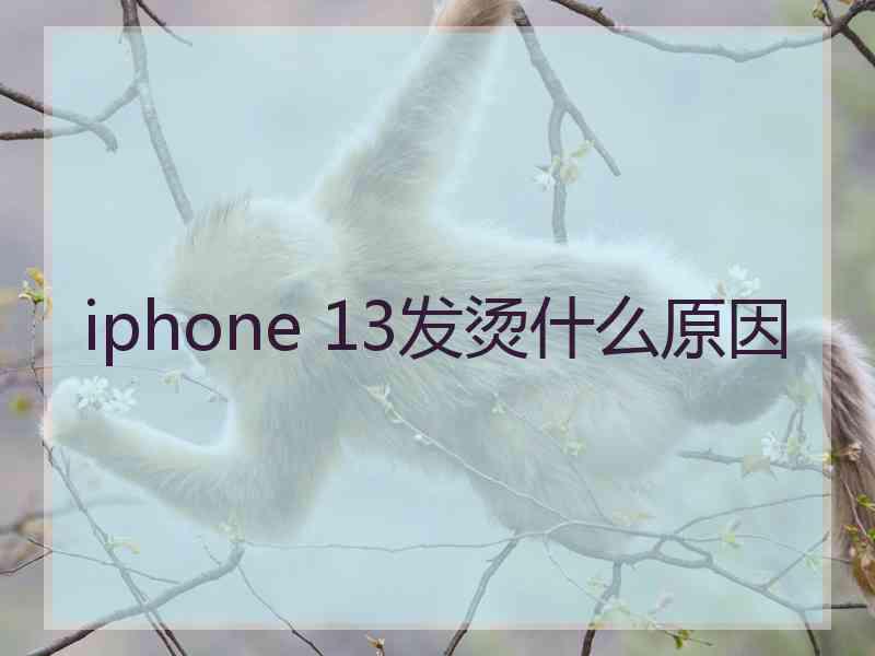 iphone 13发烫什么原因