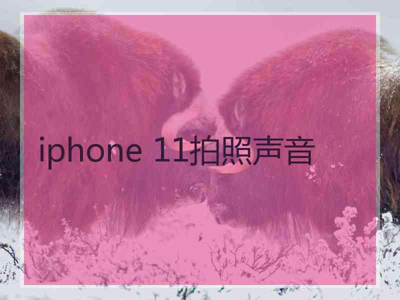 iphone 11拍照声音