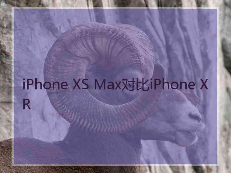 iPhone XS Max对比iPhone XR