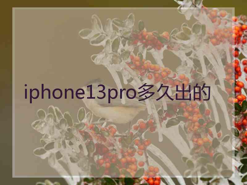 iphone13pro多久出的