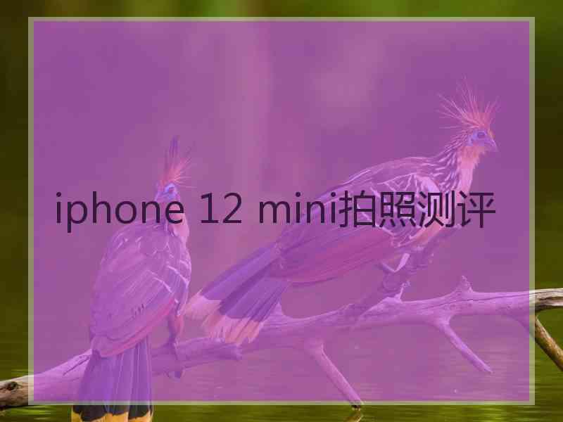 iphone 12 mini拍照测评