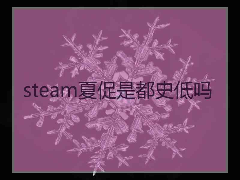 steam夏促是都史低吗