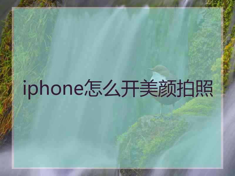 iphone怎么开美颜拍照