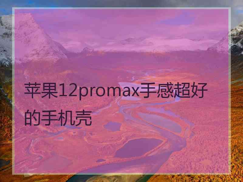 苹果12promax手感超好的手机壳