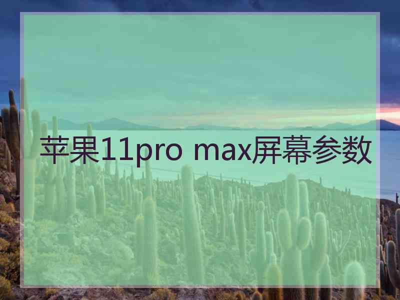 苹果11pro max屏幕参数