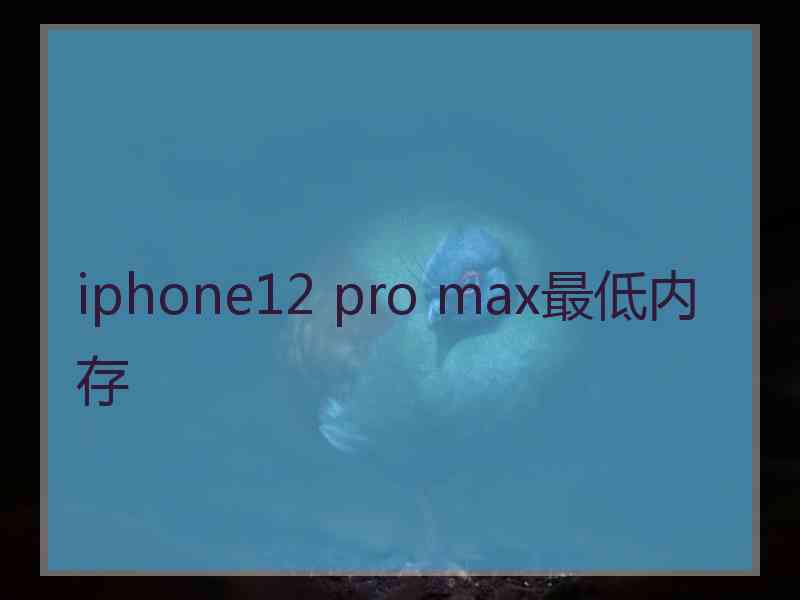 iphone12 pro max最低内存