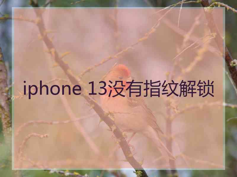 iphone 13没有指纹解锁