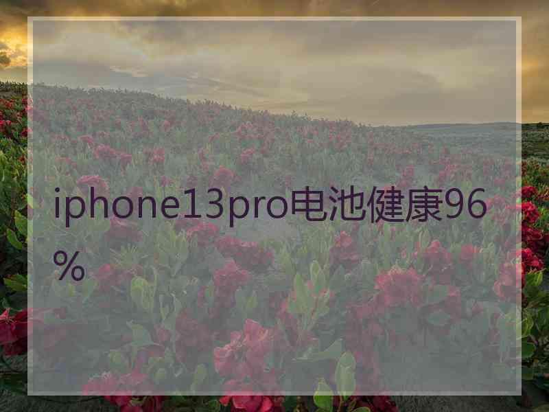 iphone13pro电池健康96%