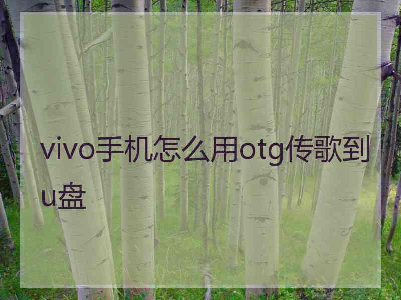 vivo手机怎么用otg传歌到u盘