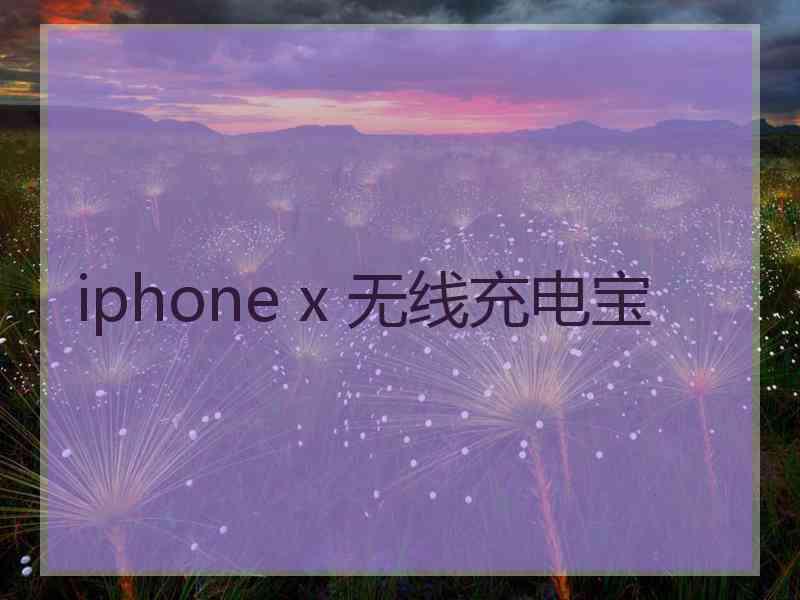 iphone x 无线充电宝