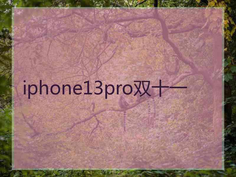 iphone13pro双十一