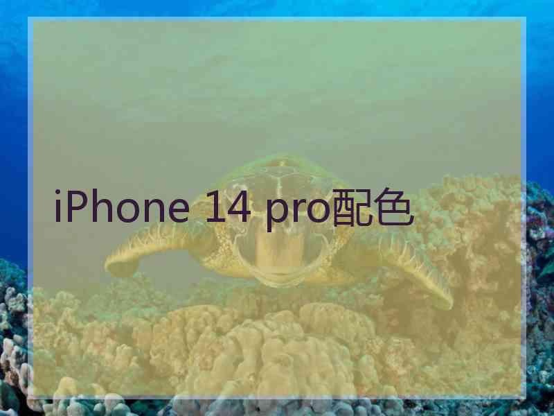 iPhone 14 pro配色