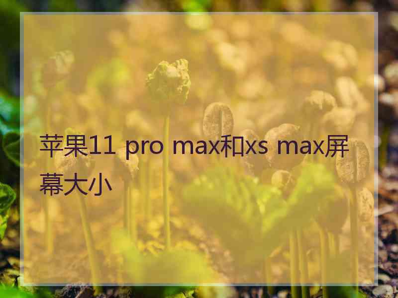 苹果11 pro max和xs max屏幕大小