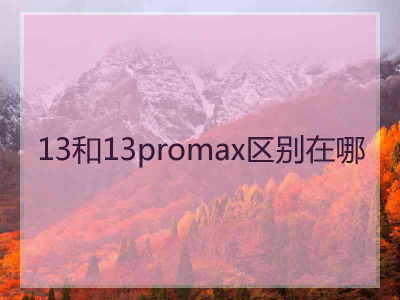 13和13promax区别在哪