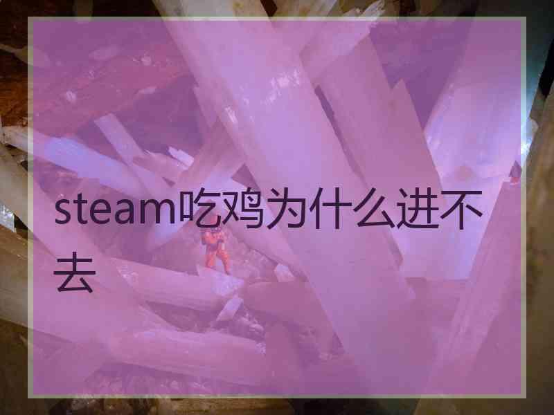 steam吃鸡为什么进不去