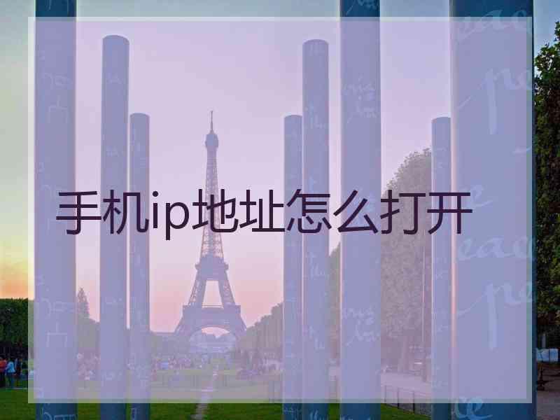 手机ip地址怎么打开