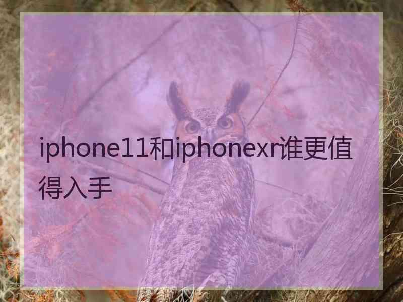 iphone11和iphonexr谁更值得入手