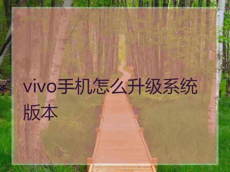 vivo手机怎么升级系统版本