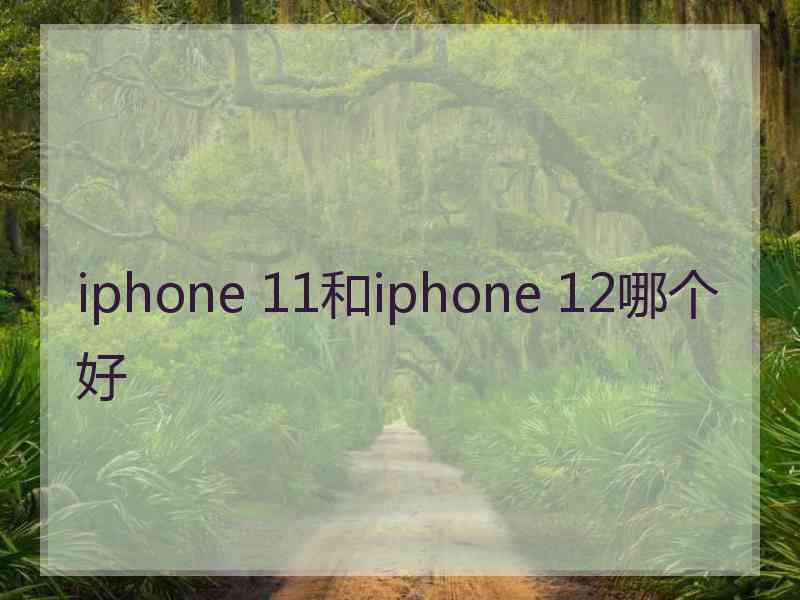 iphone 11和iphone 12哪个好