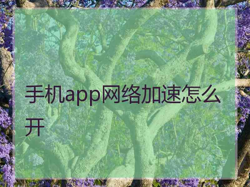 手机app网络加速怎么开