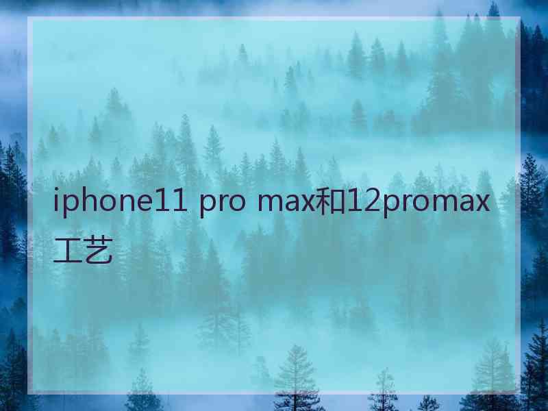 iphone11 pro max和12promax工艺