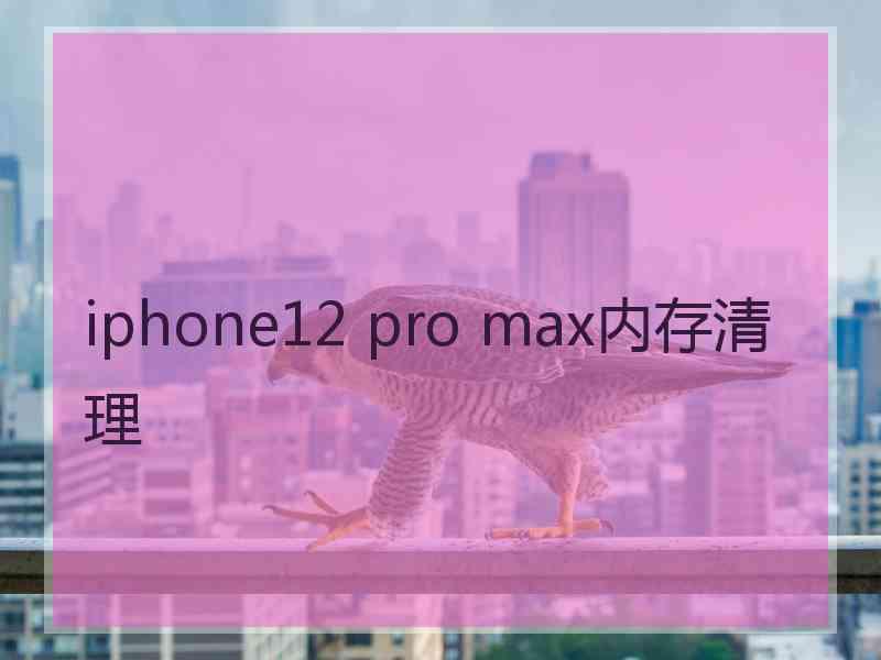 iphone12 pro max内存清理