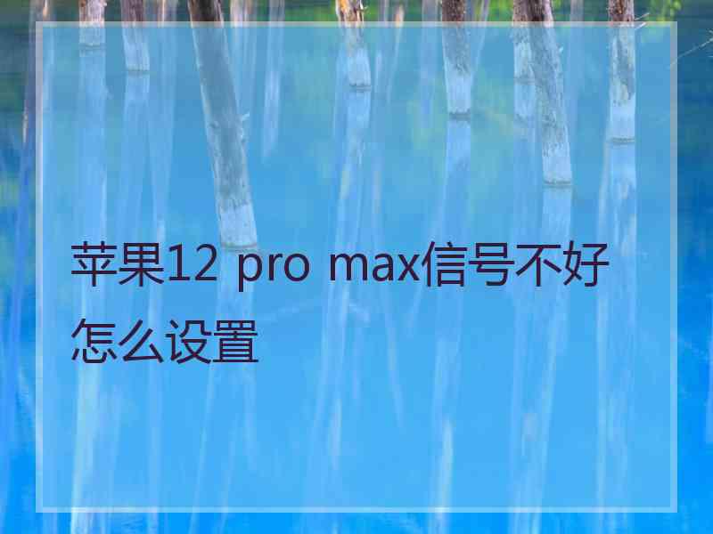 苹果12 pro max信号不好怎么设置