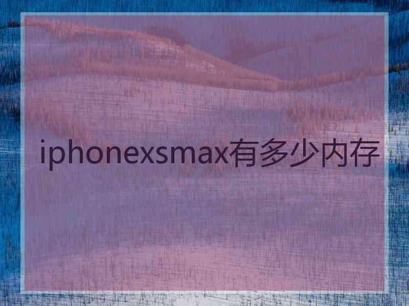 iphonexsmax有多少内存