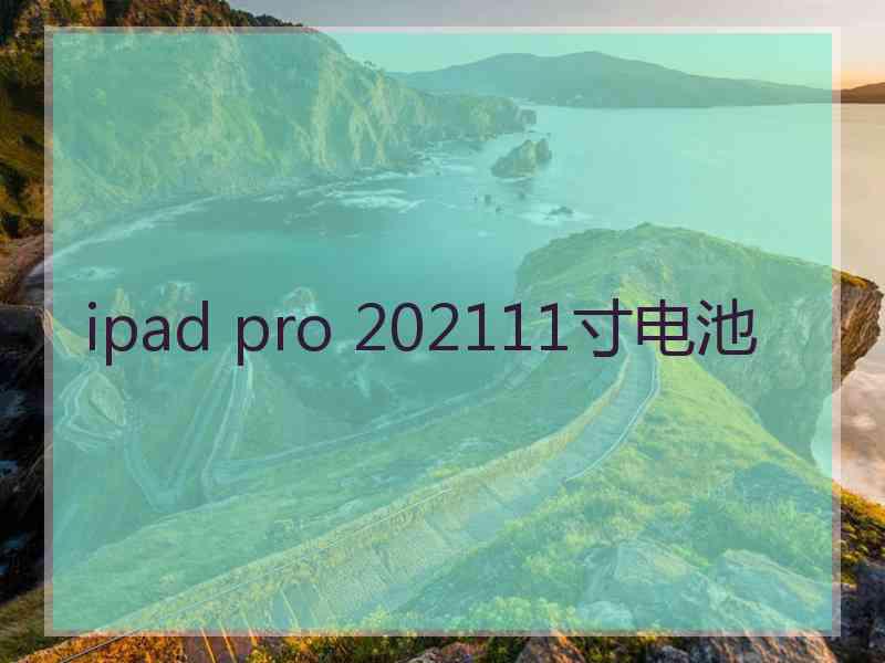 ipad pro 202111寸电池