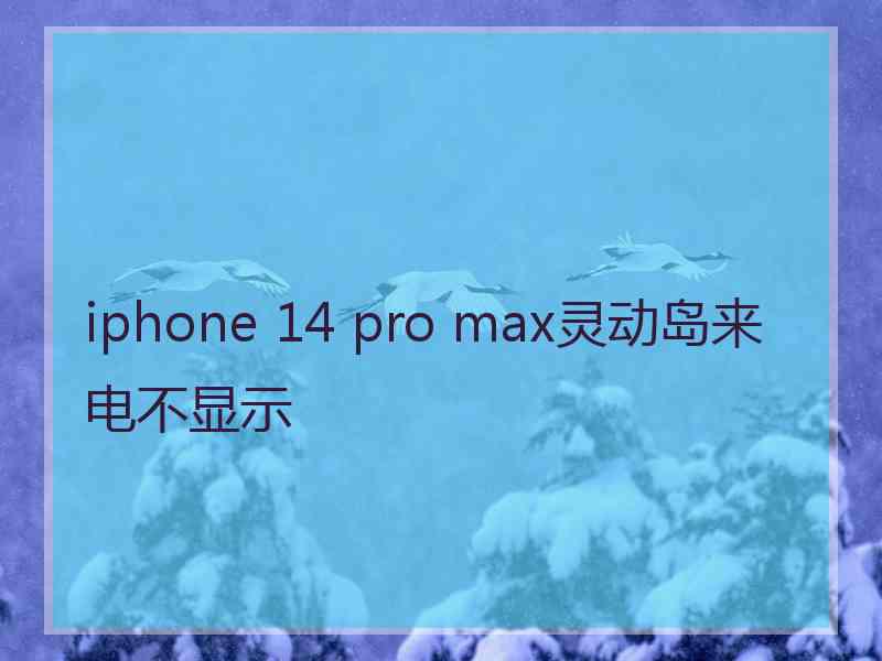 iphone 14 pro max灵动岛来电不显示