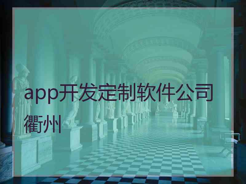 app开发定制软件公司衢州