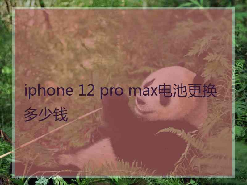 iphone 12 pro max电池更换多少钱