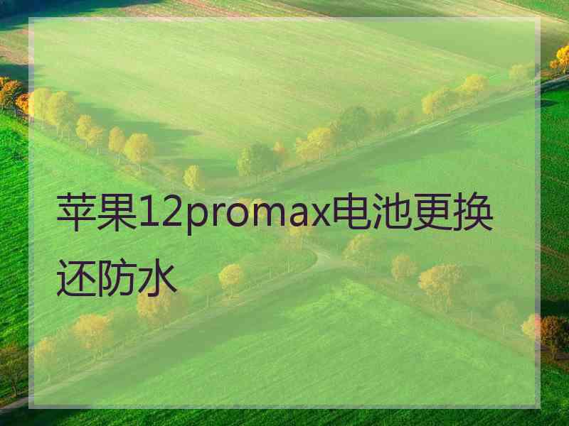 苹果12promax电池更换还防水