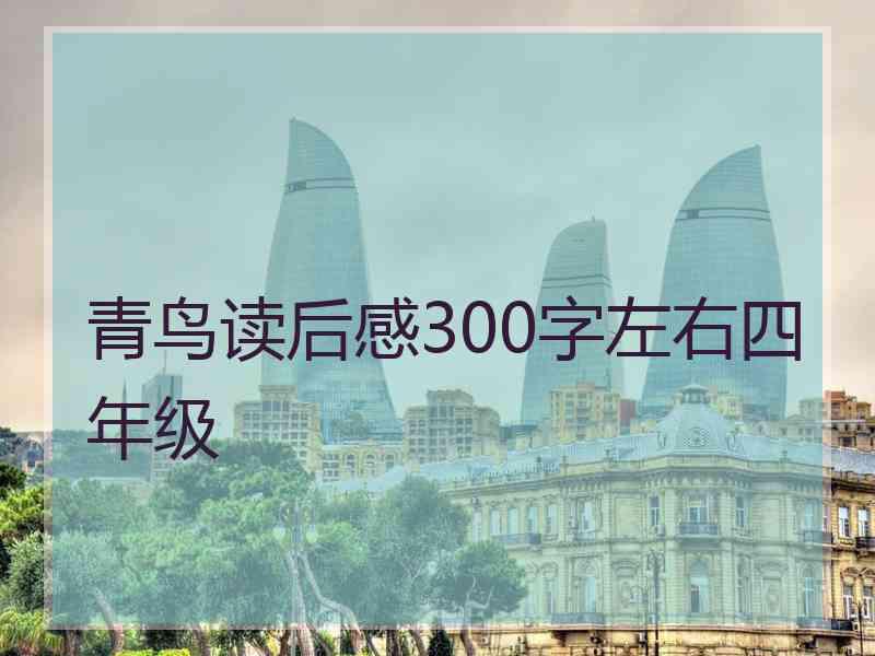 青鸟读后感300字左右四年级