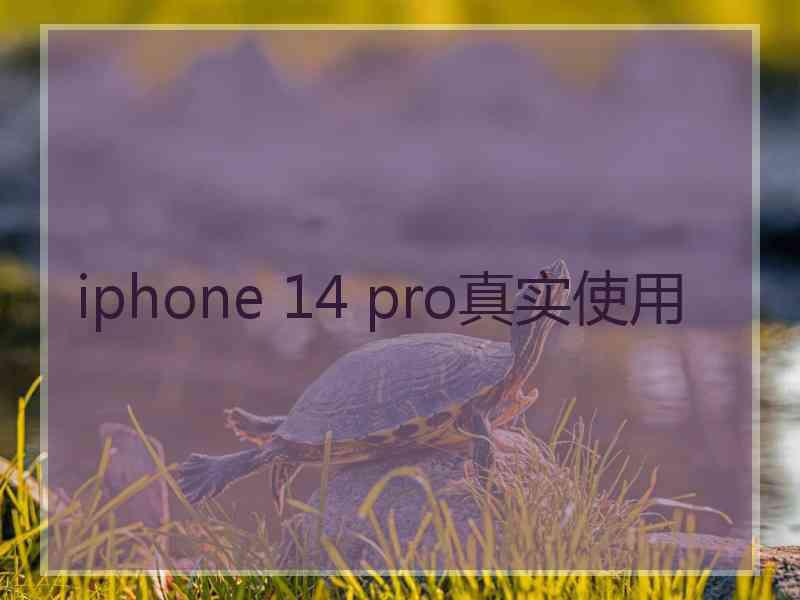 iphone 14 pro真实使用