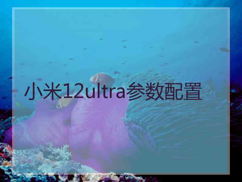 小米12ultra参数配置