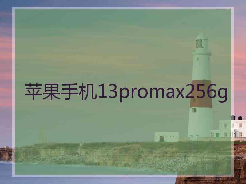 苹果手机13promax256g