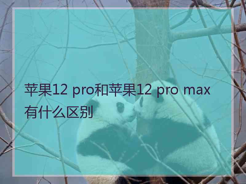 苹果12 pro和苹果12 pro max有什么区别