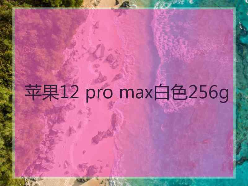 苹果12 pro max白色256g