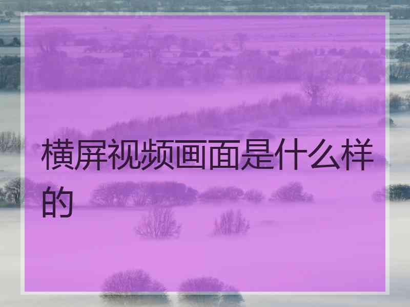 横屏视频画面是什么样的