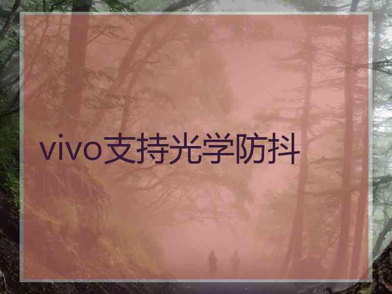 vivo支持光学防抖