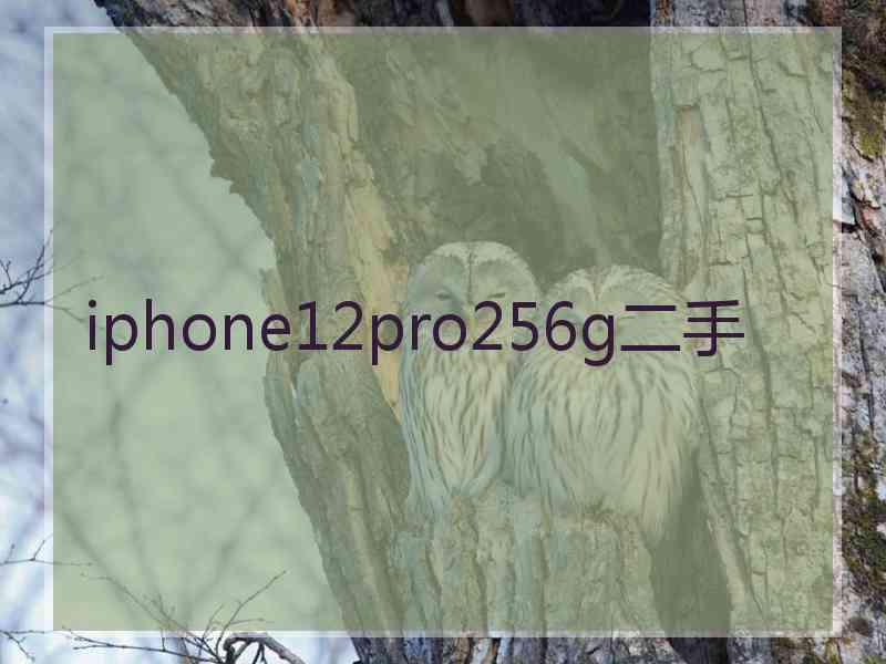 iphone12pro256g二手