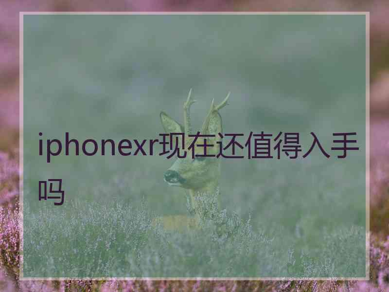 iphonexr现在还值得入手吗