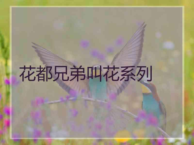 花都兄弟叫花系列