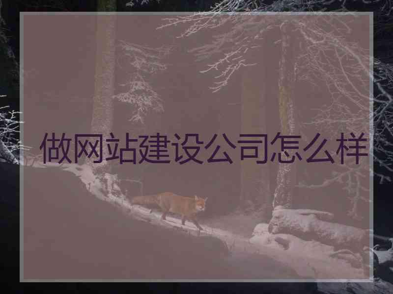 做网站建设公司怎么样