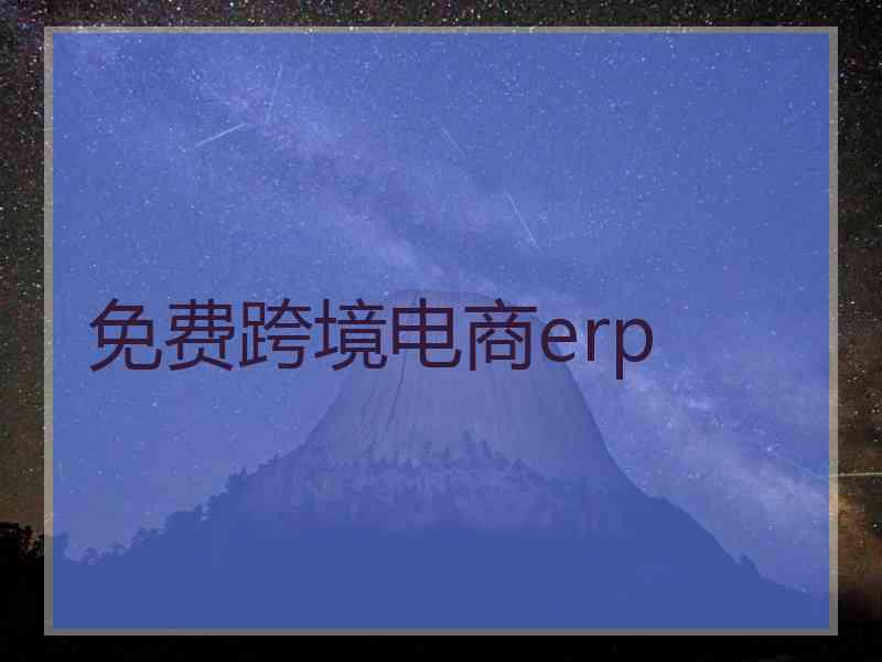 免费跨境电商erp