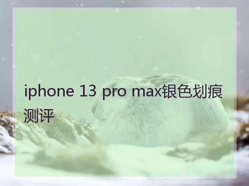 iphone 13 pro max银色划痕测评